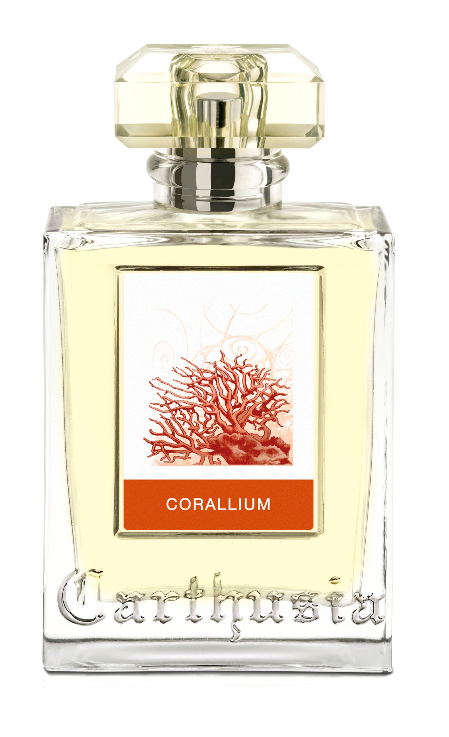 Profumo uomo/donna,  Migliori profumi 2025,  Profumi di nicchia,  Profumo estate inverno,  Profumi persistenti,  Profumi freschi dolci floreali,  Profumi nuovi 2025,  Profumo economico di qualità,  Profumo naturale bio,  Profumi unisex, Profumo per occasioni speciali,  Profumo di lusso, Siti per comprare profumi online, Profumi più venduti,  Recensioni profumi,  Note di testa cuore fondo profumo, Profumo per ogni stagione