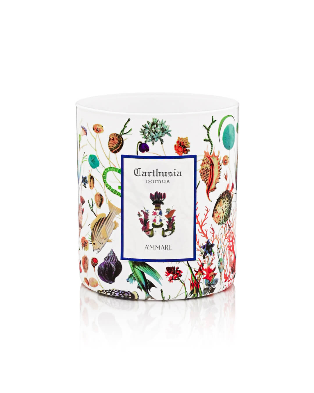 Candele profumate,  Candele aromaterapia, Candele profumate per casa, Candele profumate di alta qualità, Candele profumate per ambienti, Candele per rilassamento,  Candele profumate per regalo, Candele profumate con oli essenziali, Candele profumate per relax,  Candele profumate per decorare la casa, Candele profumate estive, Candele profumate per bagno