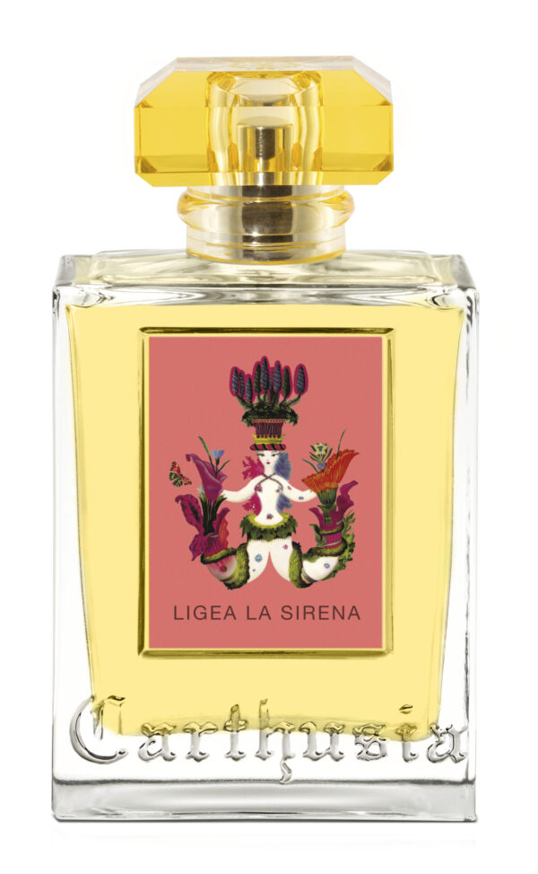 Profumo uomo/donna,  Migliori profumi 2025,  Profumi di nicchia,  Profumo estate inverno,  Profumi persistenti,  Profumi freschi dolci floreali,  Profumi nuovi 2025,  Profumo economico di qualità,  Profumo naturale bio,  Profumi unisex, Profumo per occasioni speciali,  Profumo di lusso, Siti per comprare profumi online, Profumi più venduti,  Recensioni profumi,  Note di testa cuore fondo profumo, Profumo per ogni stagione