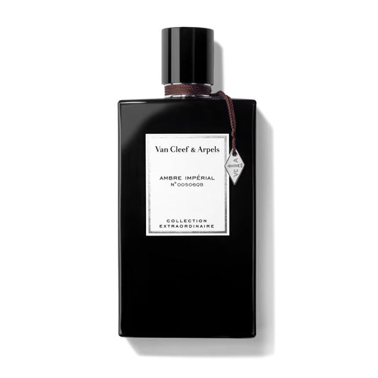 Profumo uomo/donna,  Migliori profumi 2025,  Profumi di nicchia,  Profumo estate inverno,  Profumi persistenti,  Profumi freschi dolci floreali,  Profumi nuovi 2025,  Profumo economico di qualità,  Profumo naturale bio,  Profumi unisex, Profumo per occasioni speciali,  Profumo di lusso, Siti per comprare profumi online, Profumi più venduti,  Recensioni profumi,  Note di testa cuore fondo profumo, Profumo per ogni stagione