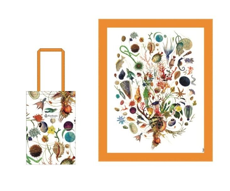 CARTHUSIA – “Pareo Mare A’Mmare + Mini Shopper"