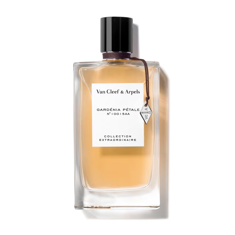 Profumo uomo/donna,  Migliori profumi 2025,  Profumi di nicchia,  Profumo estate inverno,  Profumi persistenti,  Profumi freschi dolci floreali,  Profumi nuovi 2025,  Profumo economico di qualità,  Profumo naturale bio,  Profumi unisex, Profumo per occasioni speciali,  van Cleef, Profumo di lusso, Siti per comprare profumi online, Profumi più venduti,  Recensioni profumi,  Note di testa cuore fondo profumo, Profumo per ogni stagione